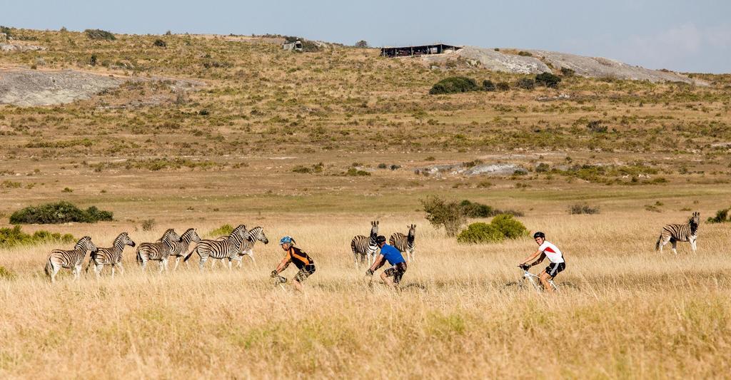 !Khwa Ttu Bed & Breakfast Swartwater Eksteriør bilde